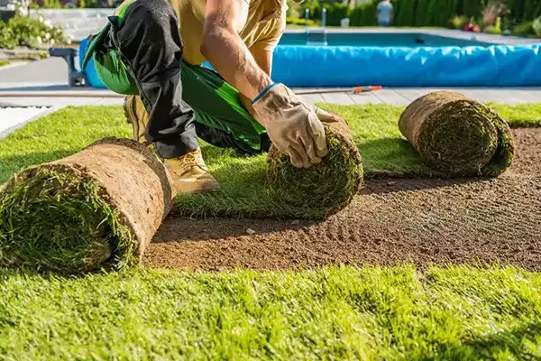 Professional Landscaper