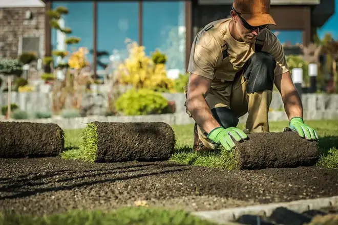 Affordable Landscaper