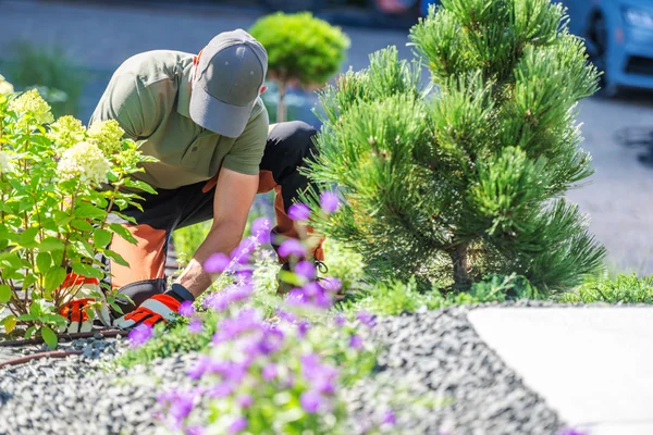Gardening